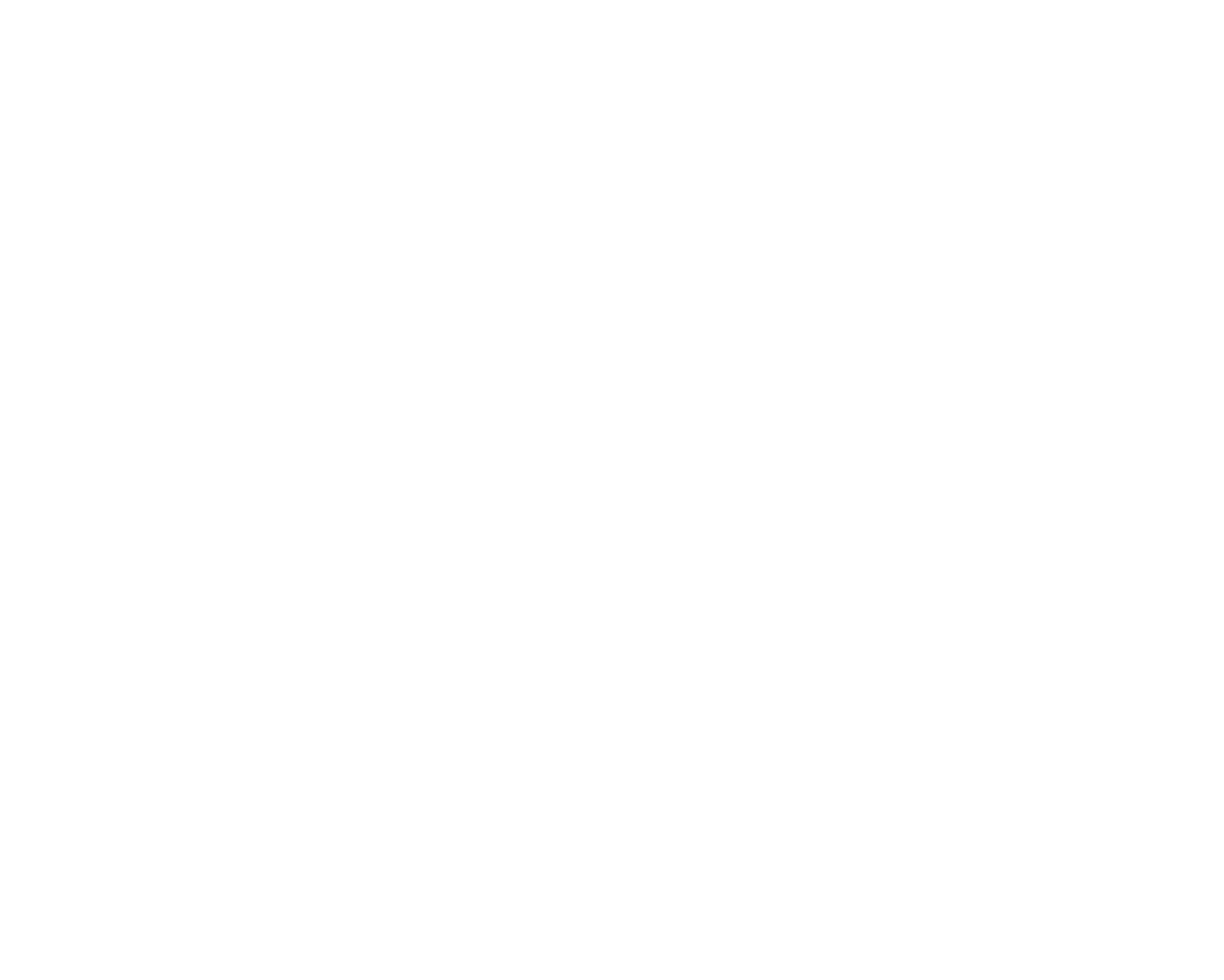 KaupApp Logo white